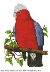 (image for) RSBL Cockatoo Rosebreasted